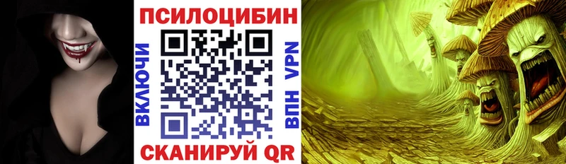 Псилоцибиновые грибы прущие грибы  Купить  Новосиль 